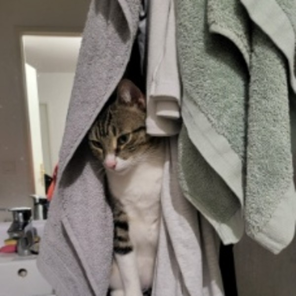 Photo de Poupounette
