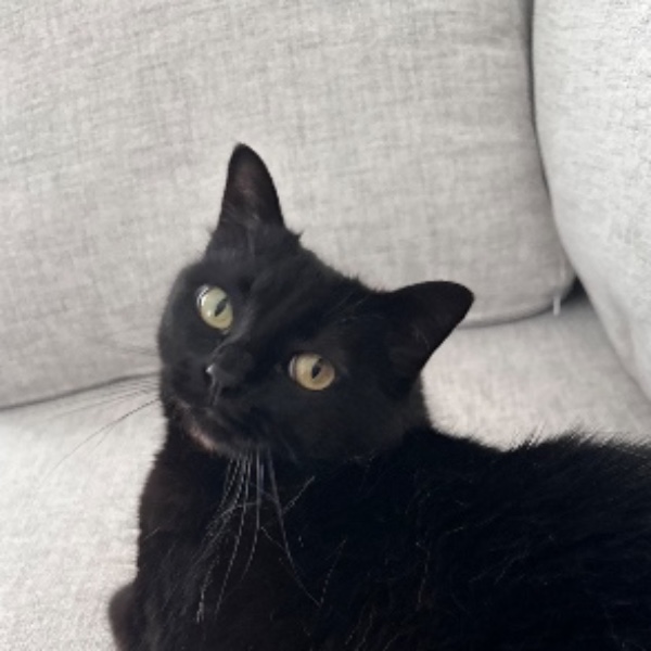 Bella