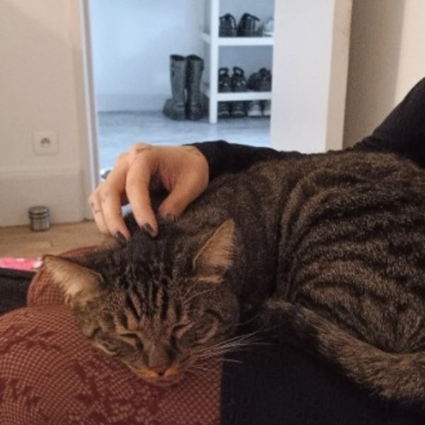 telio