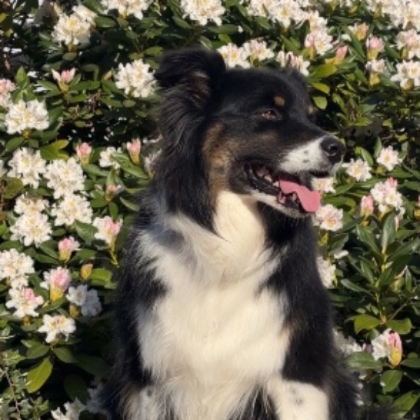 Freya