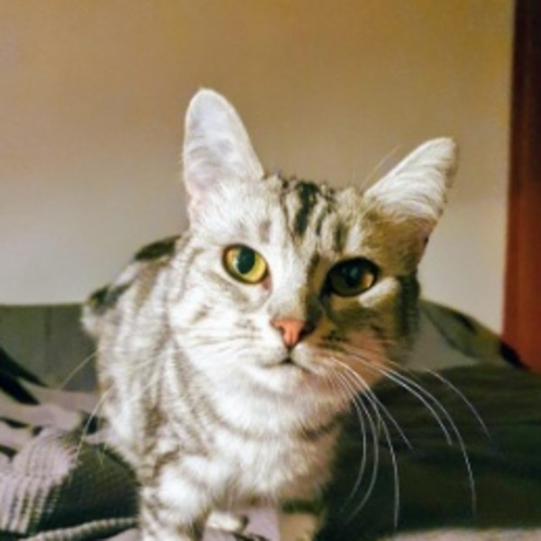 Yuki