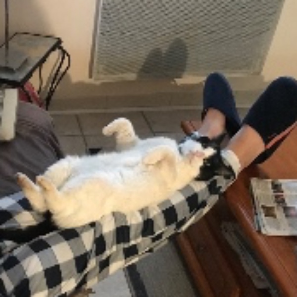 Felix