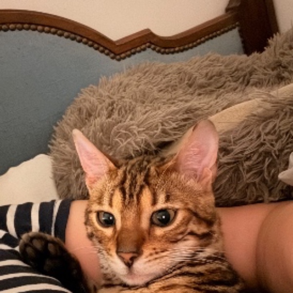 Boris