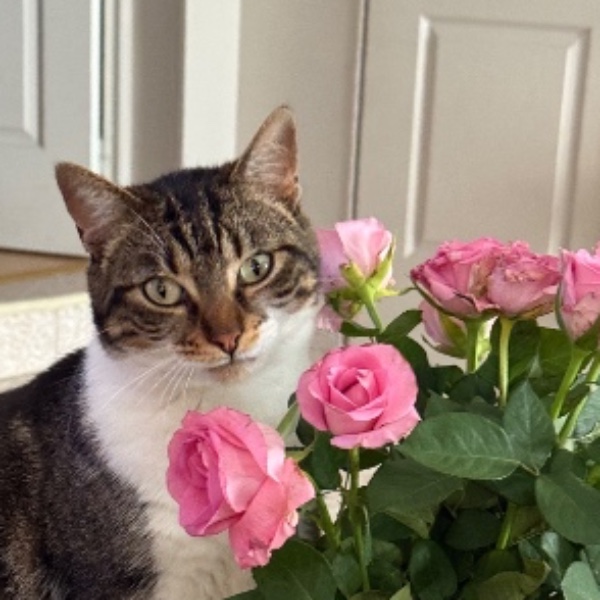 Photo de Titine