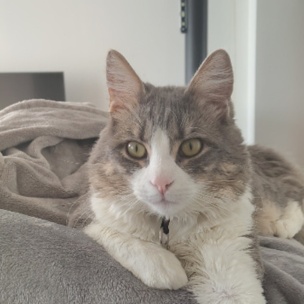 Pablo