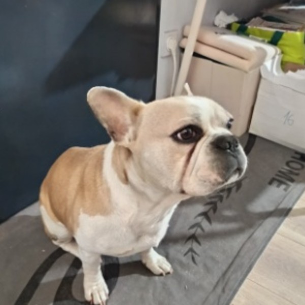 OLAF