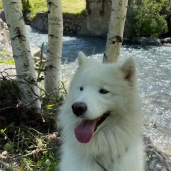 Yuki