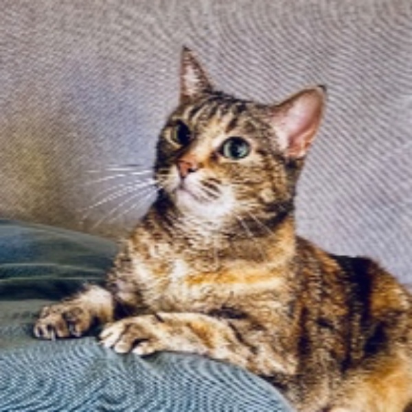 Mimi