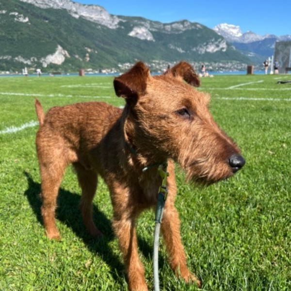 Photo de Albus
