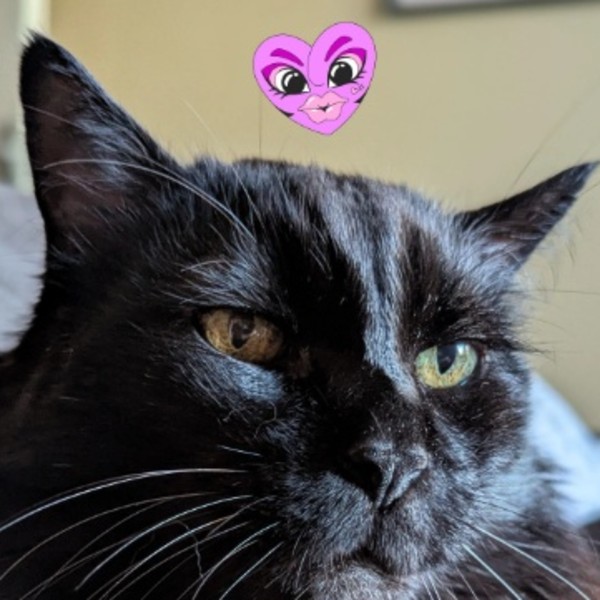 Photo de Edmond
