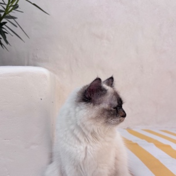 Winnie