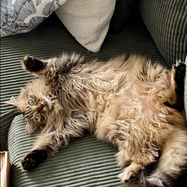 riko
