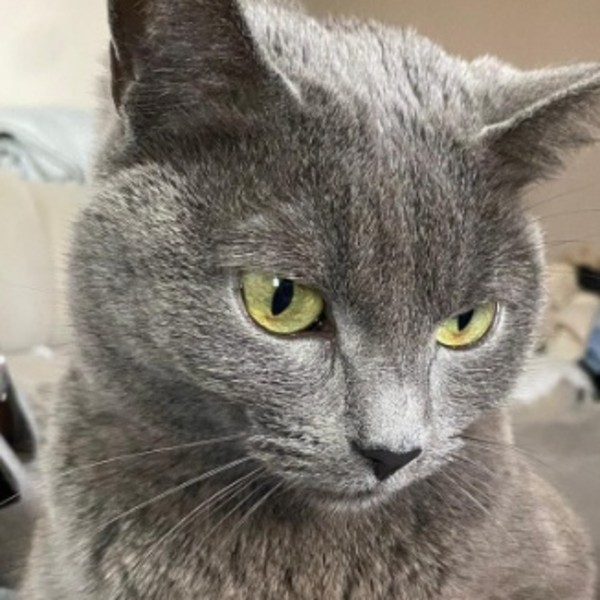 Photo de Luna
