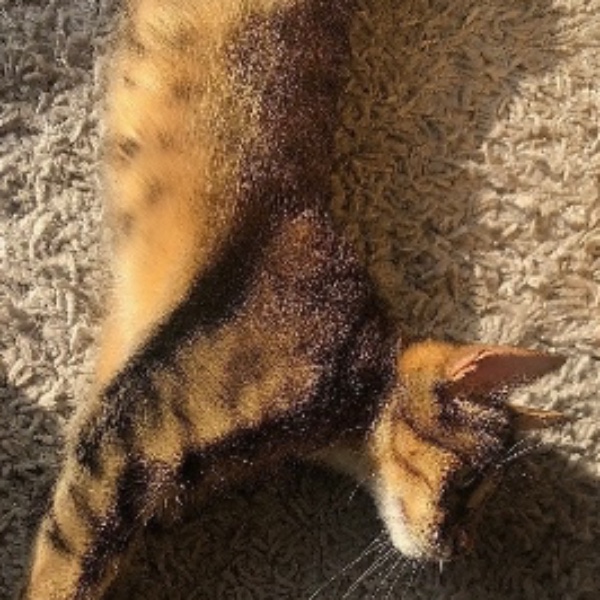 Tiny