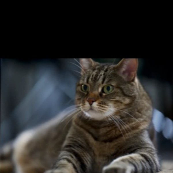 Photo de Ubi