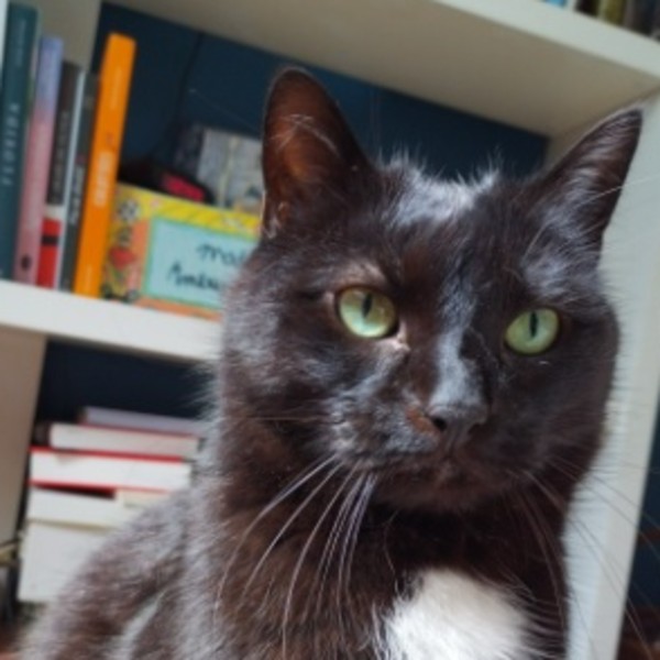 Photo de Satan