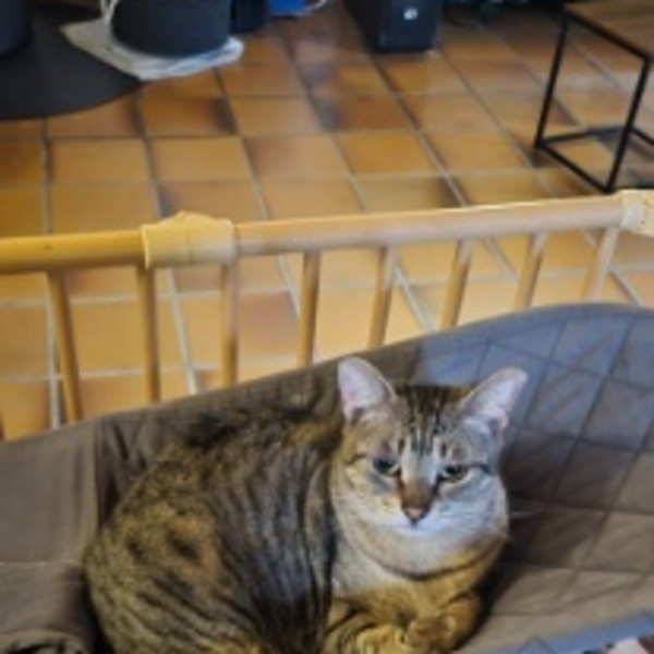 Mélie