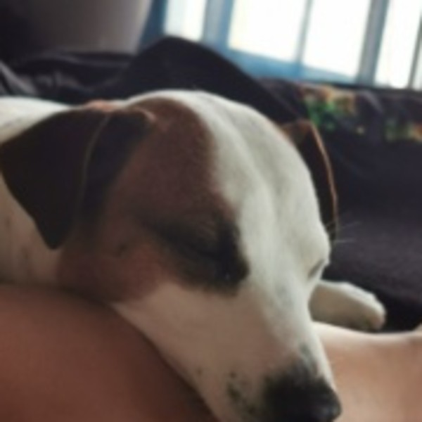 Photo de Blue
