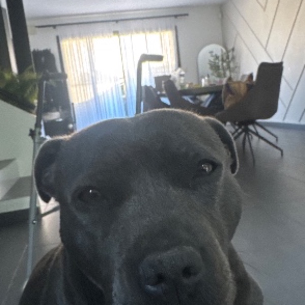 Photo de Nala