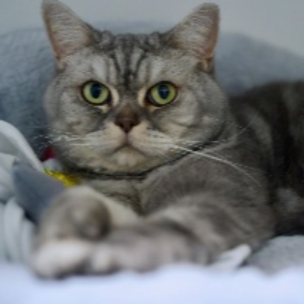 NALA