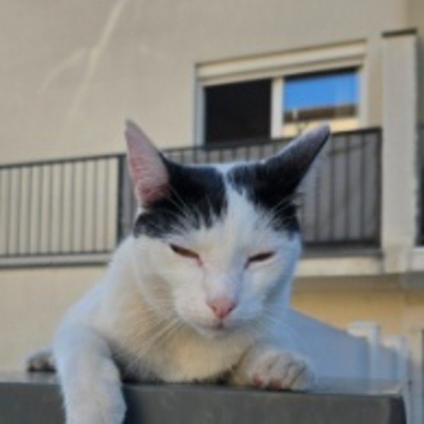 Pablo