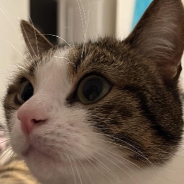 Photo de Kioko