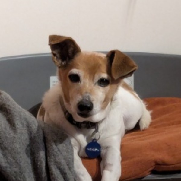 Photo de Roxy