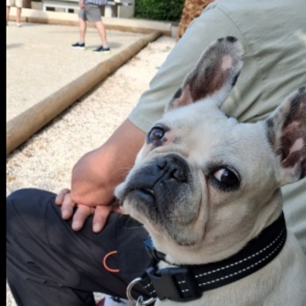 Photo de Chipie