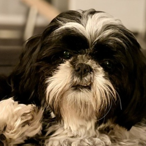Charlie