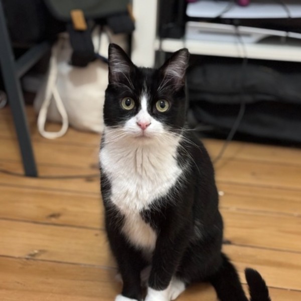 Oscar
