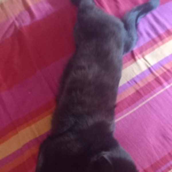 Photo de Inaya