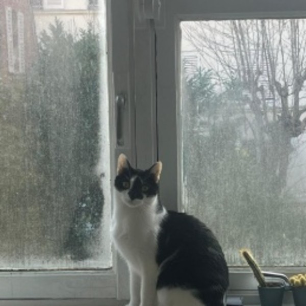 Nemo