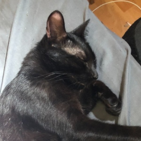 Lenny