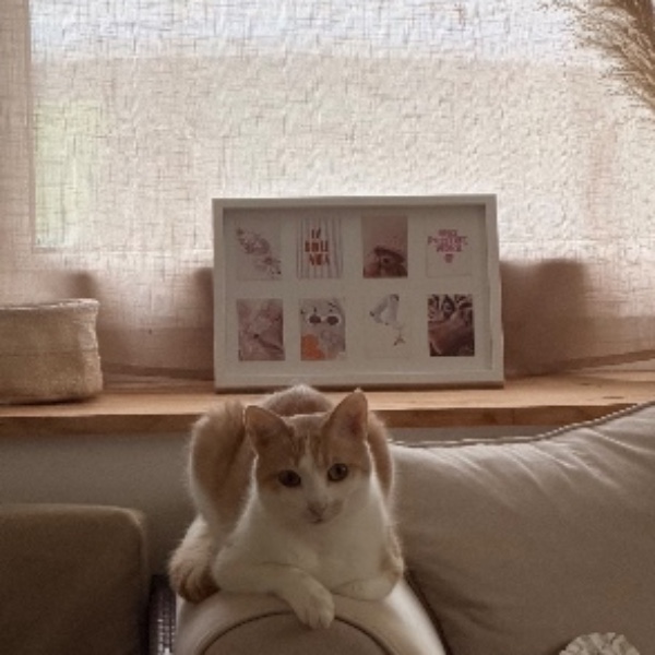Tigrou