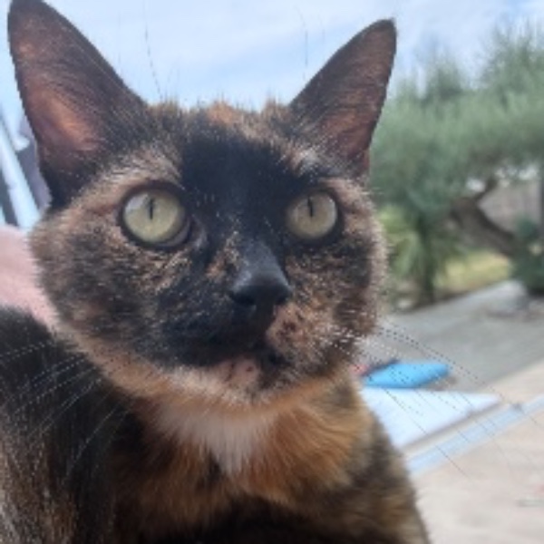 Photo de Louna