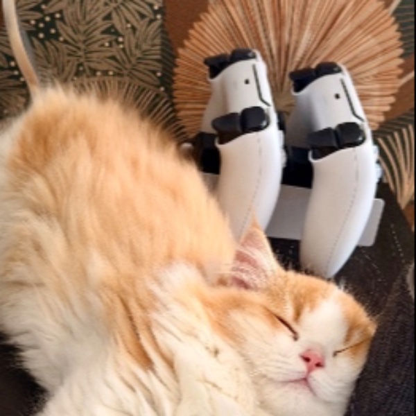 Photo de Sushi