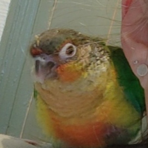 Rio
