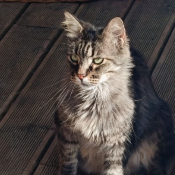 Photo de Toulouse