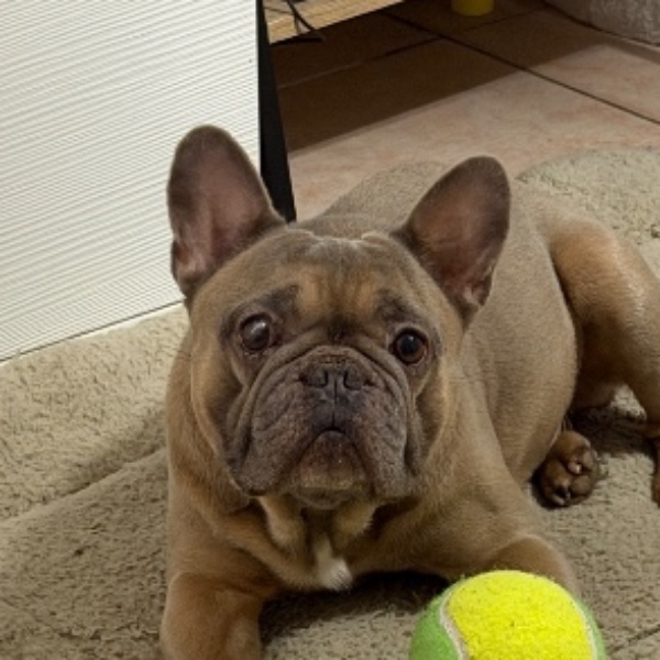 Marley