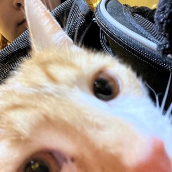 Marley