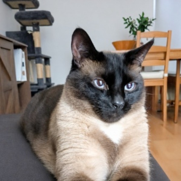 Rio