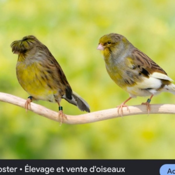 Photo de 1