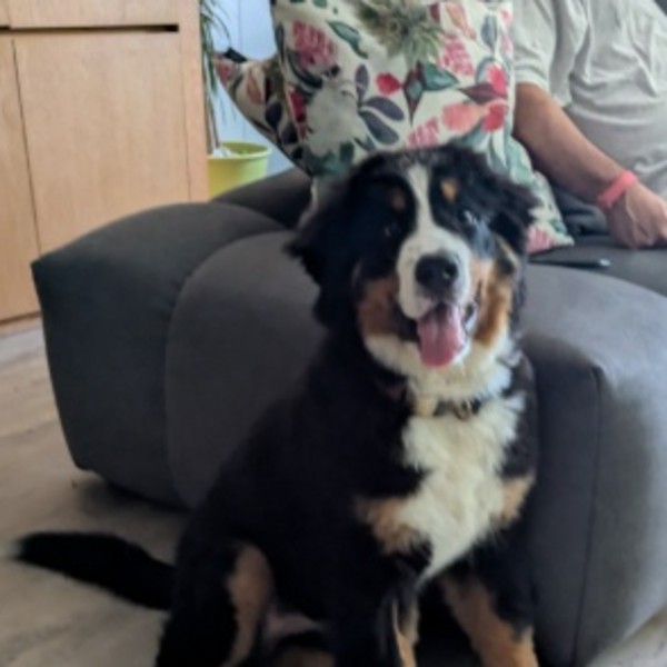 Photo de Bella