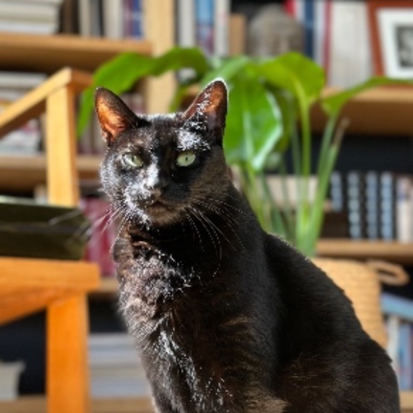 CoCo