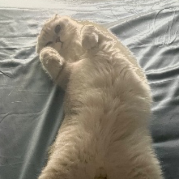 Tobias