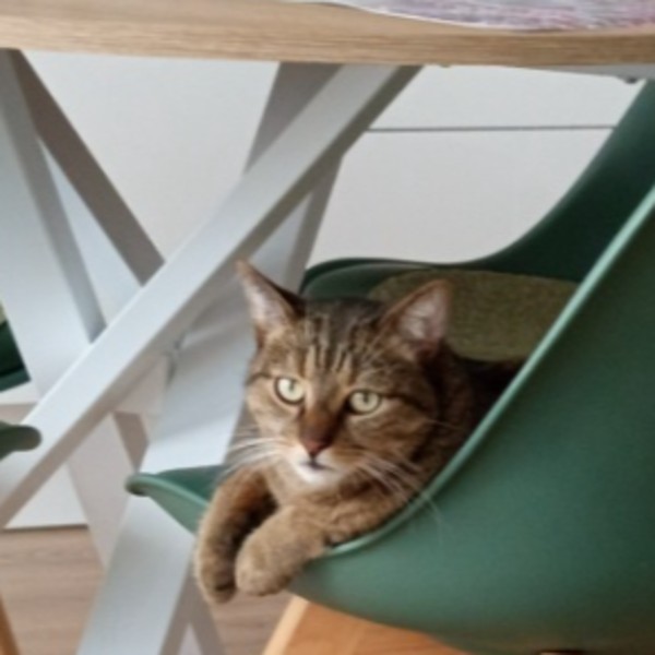 Léo