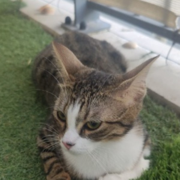 Photo de Teecha