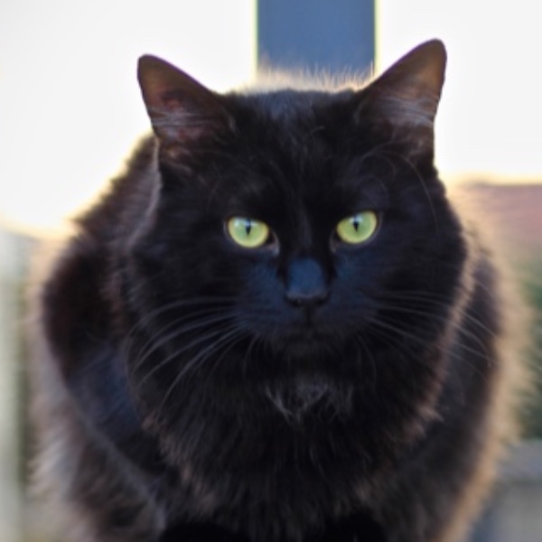Photo de Figaro