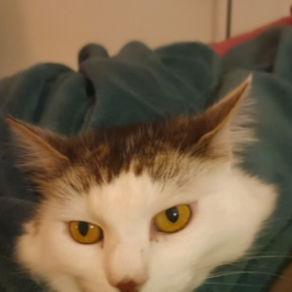 Mia
