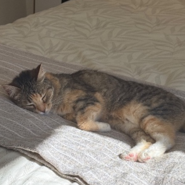 Photo de Mia
